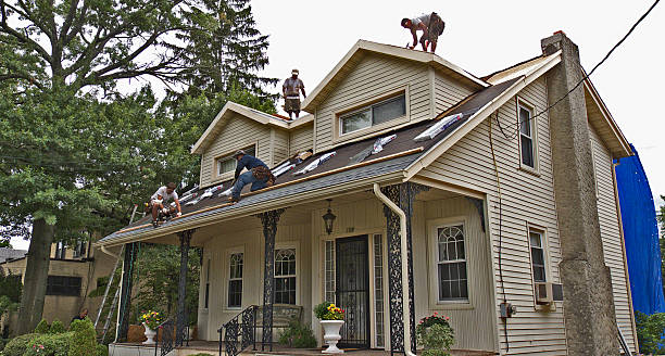 Roof Gutter Cleaning in Ojus, FL