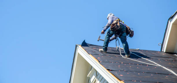 Best Roof Maintenance Services  in Ojus, FL
